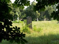 Közép-Milcsevics Jánosné